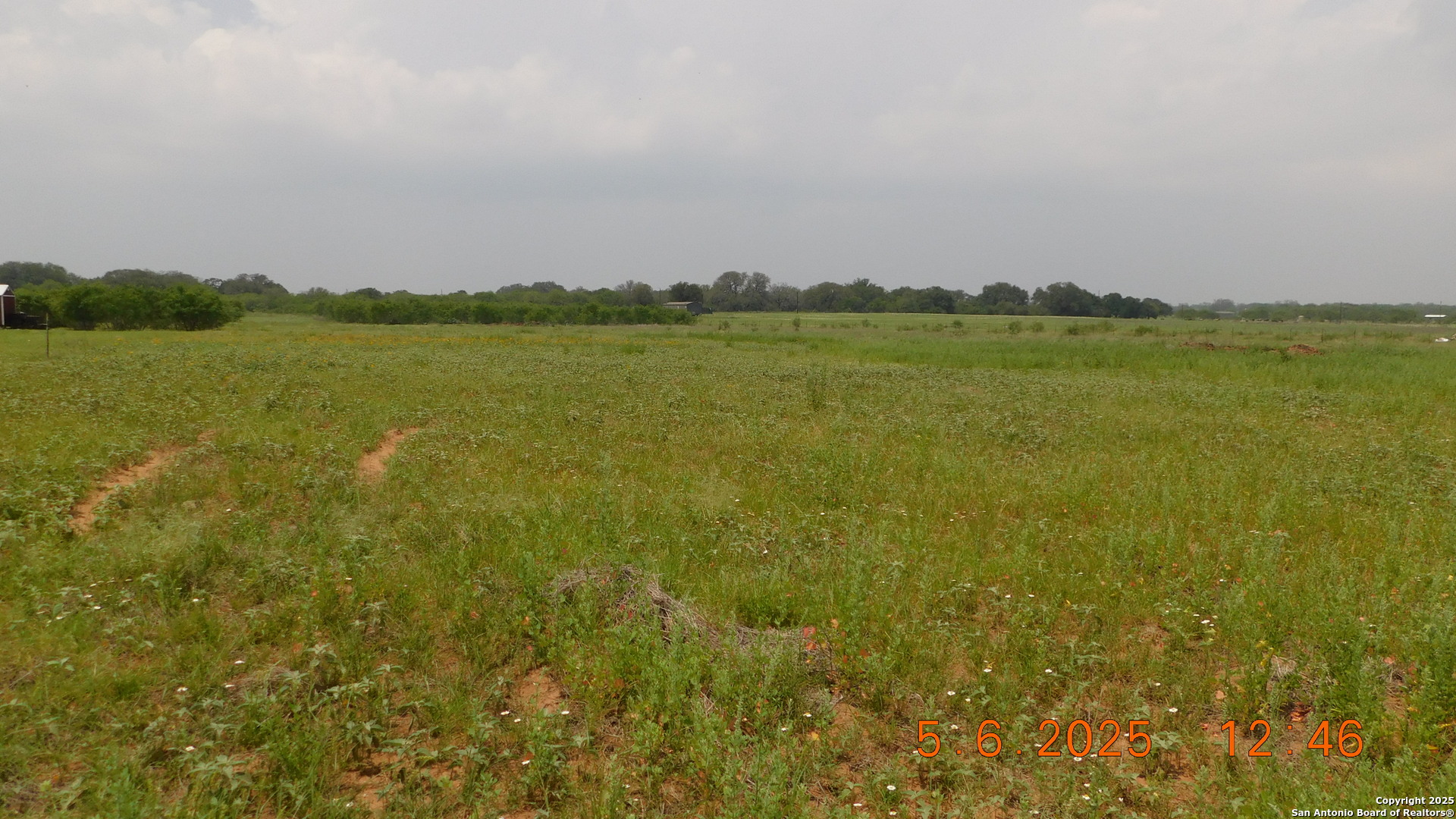 238 East Ditto Road Poteet, TX 78065 - Photo 4 of 4 a view of a lake with a city