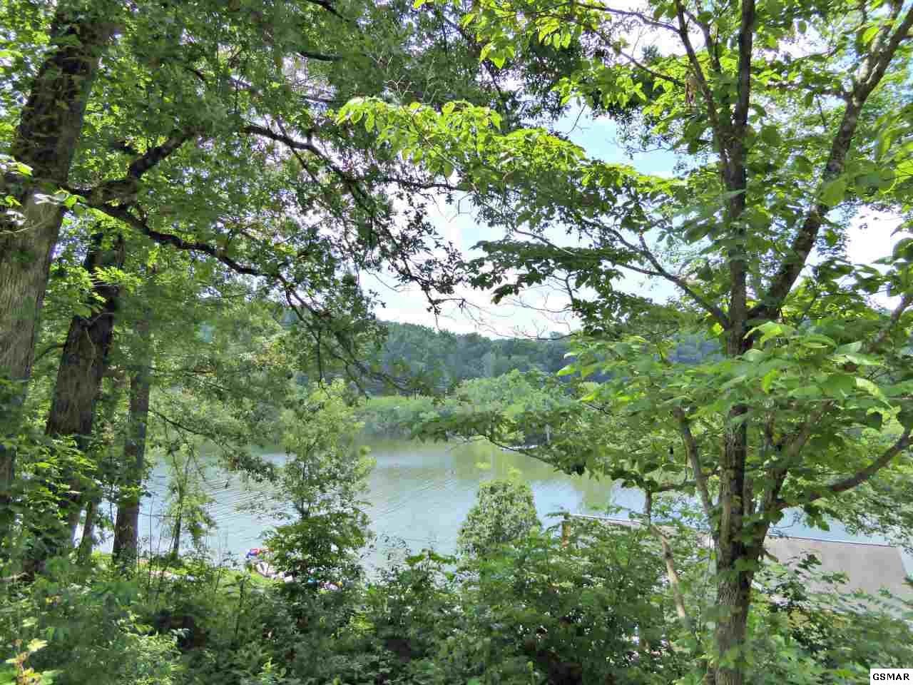 12 Ernie Roberts Road Rutledge, TN 37861 - Photo 7 of 32 Gallery Image 7