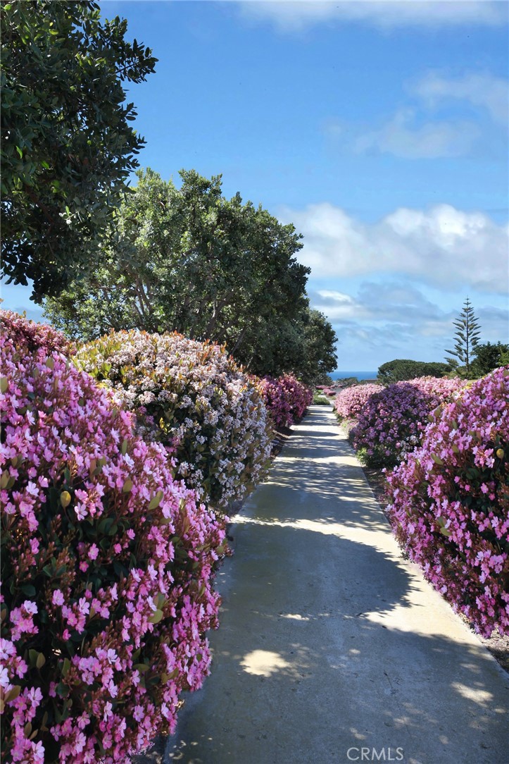 22 Breakers Dana Point, CA 92629 - Photo 27 of 35 a view of a street with flower plants