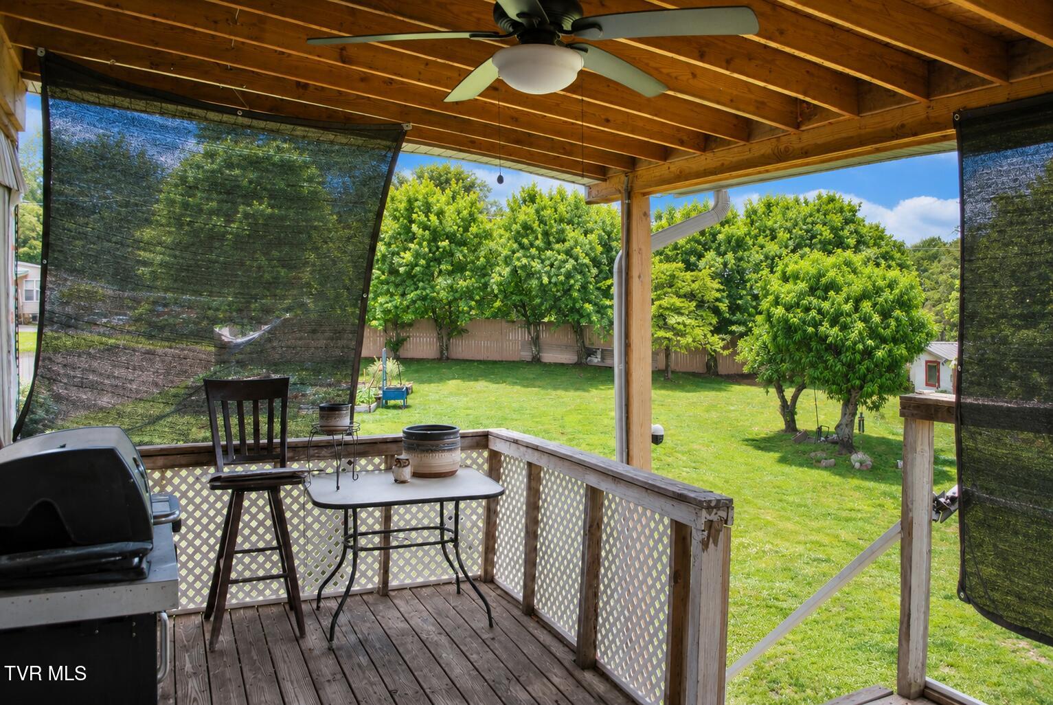 225 Shaw Road Chuckey, TN 37641 - Photo 33 of 33 Back porch