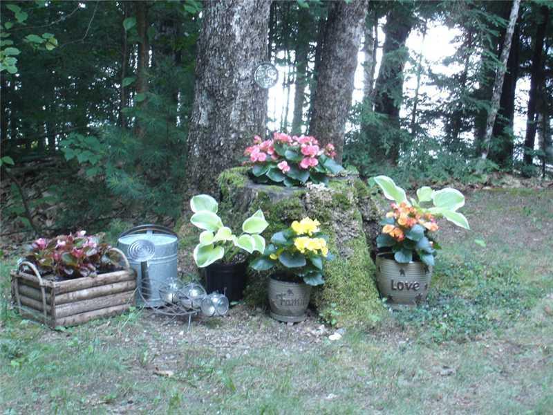 290 Hoffman Shr Road Palermo, ME 04354 - Photo 23 of 28 Yard/Garden.
