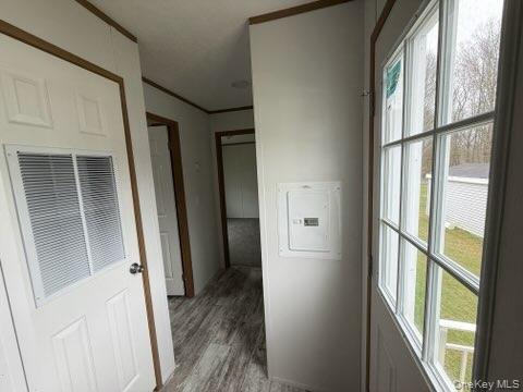 3146 Rte 9W, Unit 5A New Windsor, NY 12553 - Photo 17 of 20 Hallway featuring light wood-style floors, crown molding, electric panel, and a heating unit