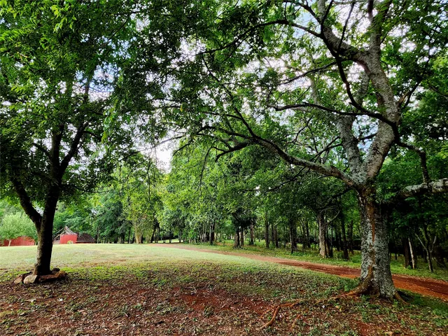 a big yard with lots of green space and trees
