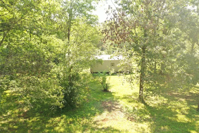 a view of a backyard with plants and large tree