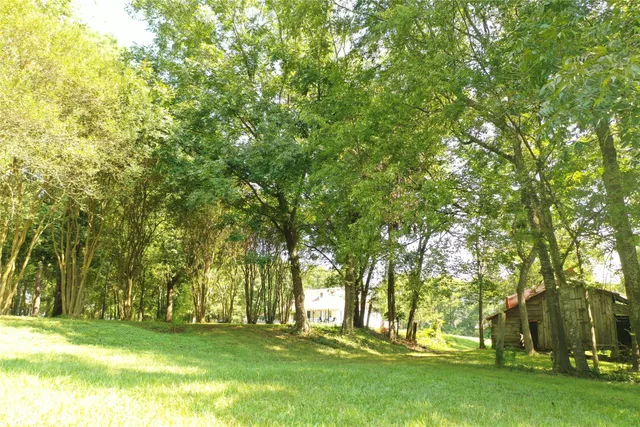 $530,000 | 1134 Farm To Market 354 San Augustine Tx 75972, San Augustine, TX 75972