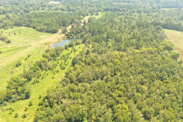 $530,000 | 1134 Farm To Market 354 San Augustine Tx 75972, San Augustine, TX 75972