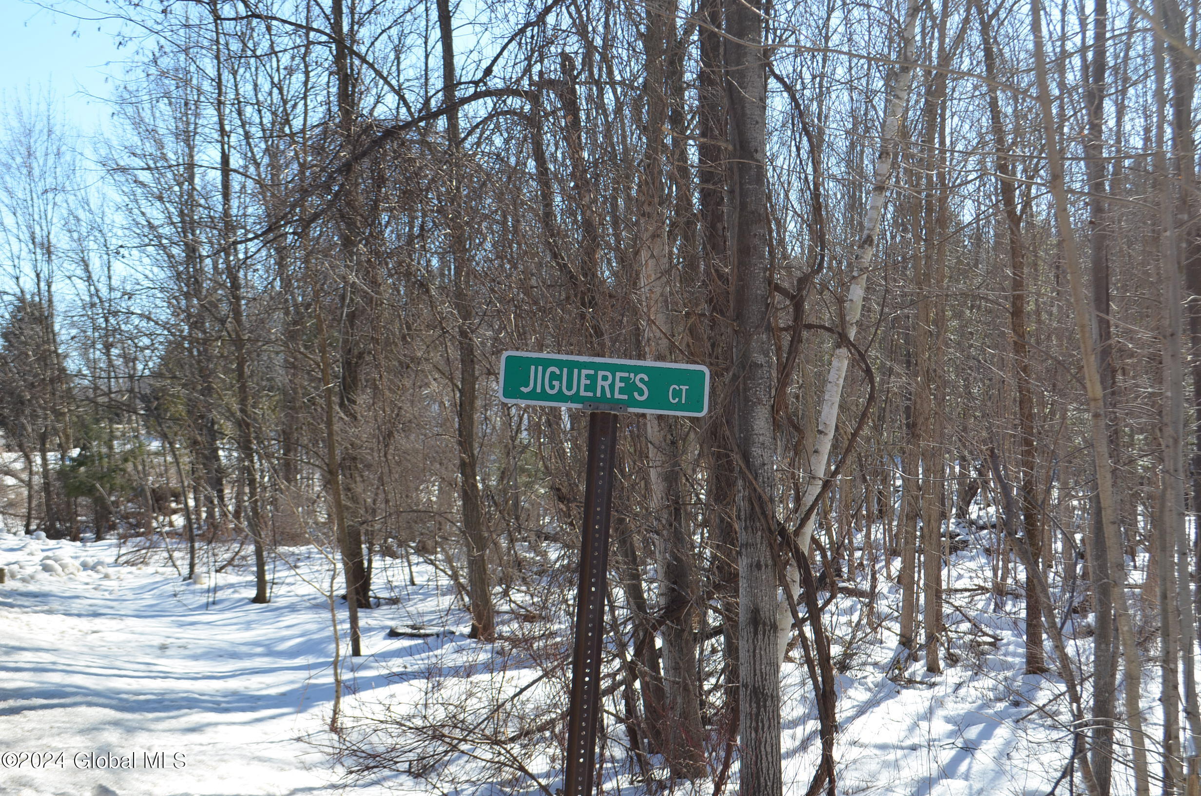 L36.14 Jiguere Court West Chazy, NY 12992 - Photo 1 of 8 Private road
