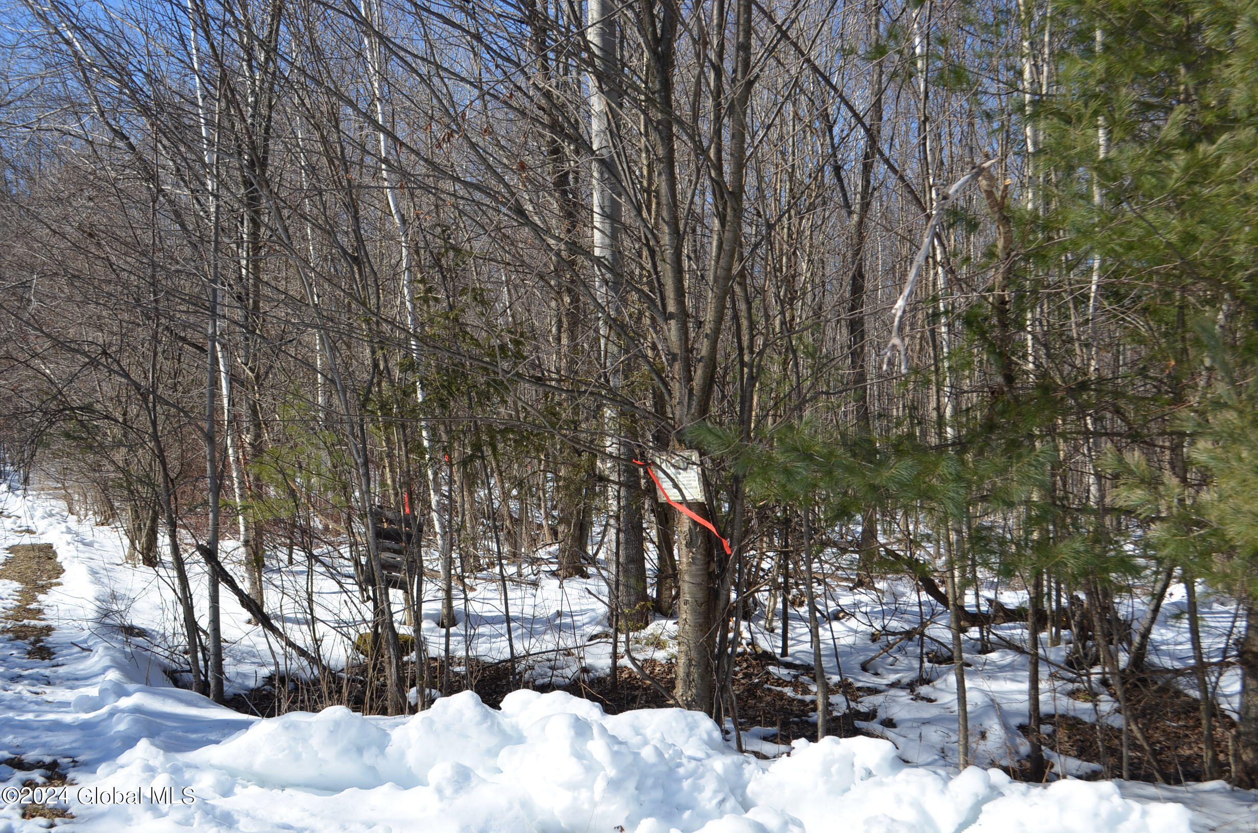 L36.14 Jiguere Court West Chazy, NY 12992 - Photo 2 of 8 DSC_0282