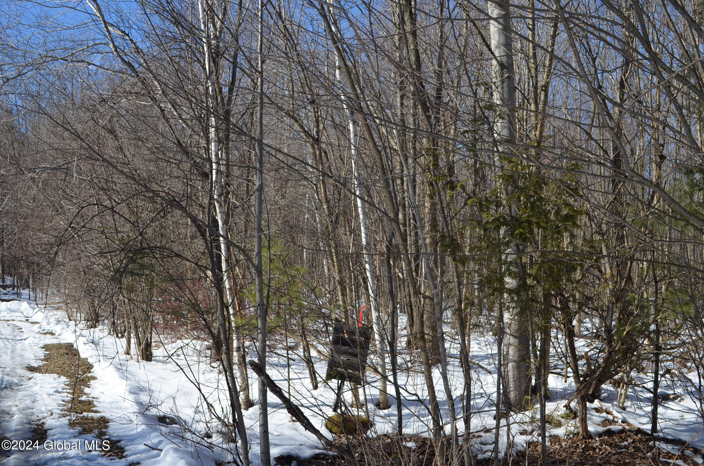 L36.14 Jiguere Court West Chazy, NY 12992 - Photo 3 of 8 DSC_0283