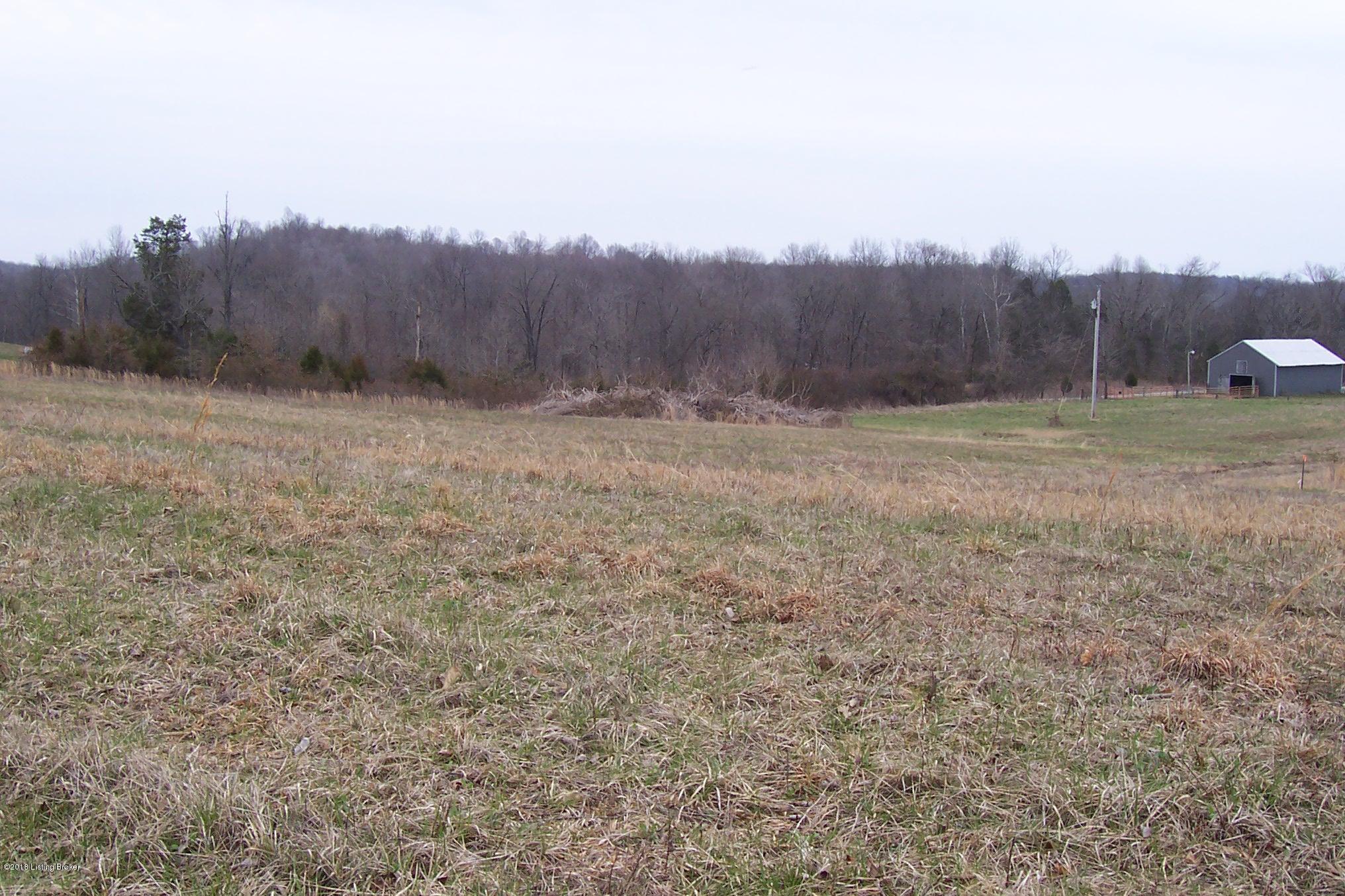 999 Mahurn Cemetery Road Caneyville, KY 42721 - Photo 11 of 12 100_6497