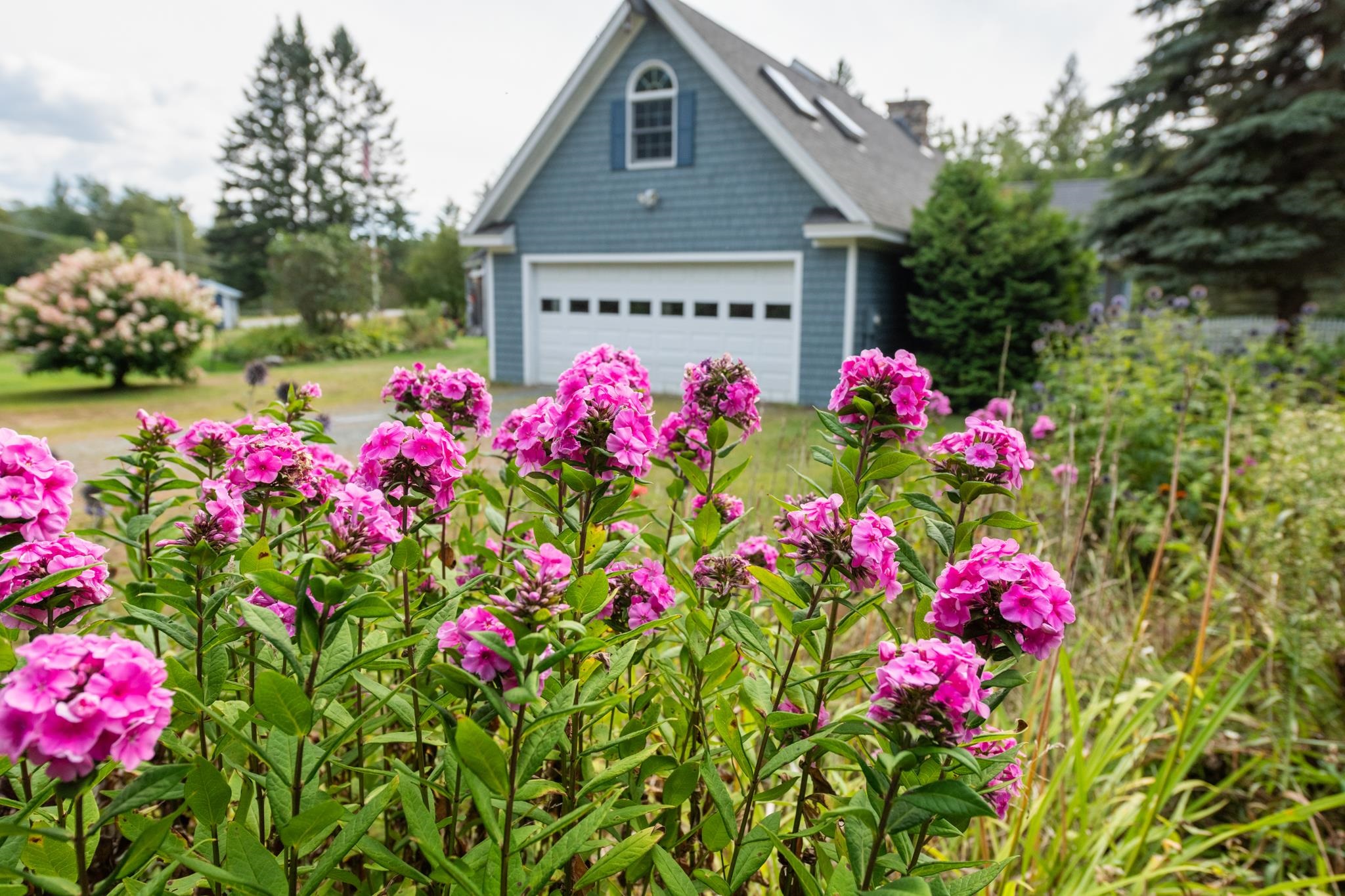 441 Sugarloaf Road Stratford, NH 03590 - Photo 8 of 49