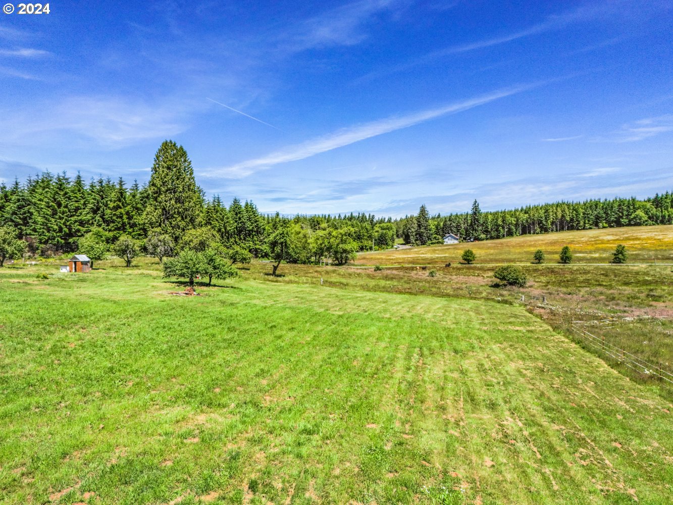 70200 Apiary Road Rainier, OR 97048 - Photo 3 of 37 a view of a big yard with a large tree and a yard