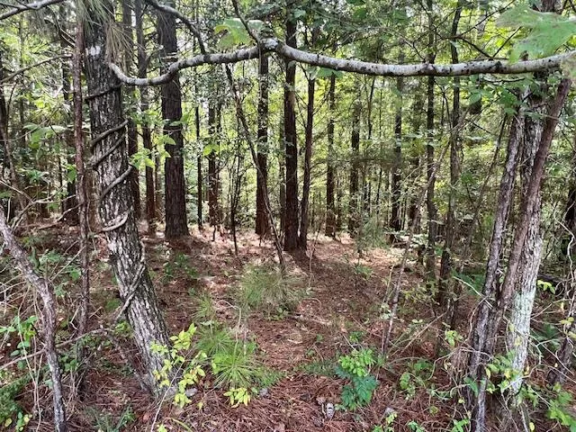 $15,900 | 14-11 Arbor Lane, McCormick, SC 29835