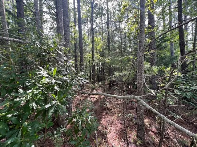 $15,900 | 14-11 Arbor Lane, McCormick, SC 29835