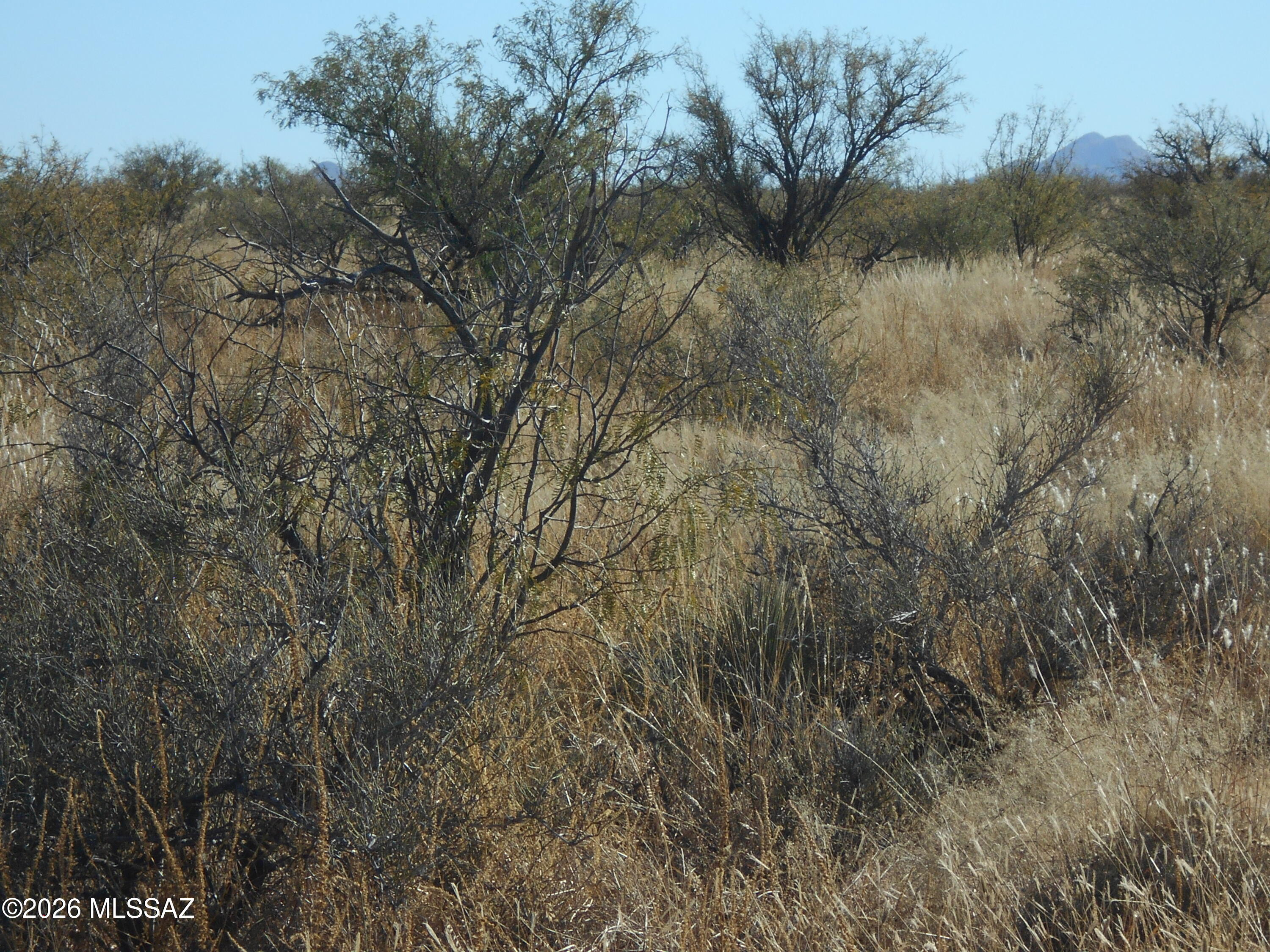 87 Acre Sidney Road, Unit 20 Pearce, AZ 85625 - Photo 16 of 16 DSCN5685