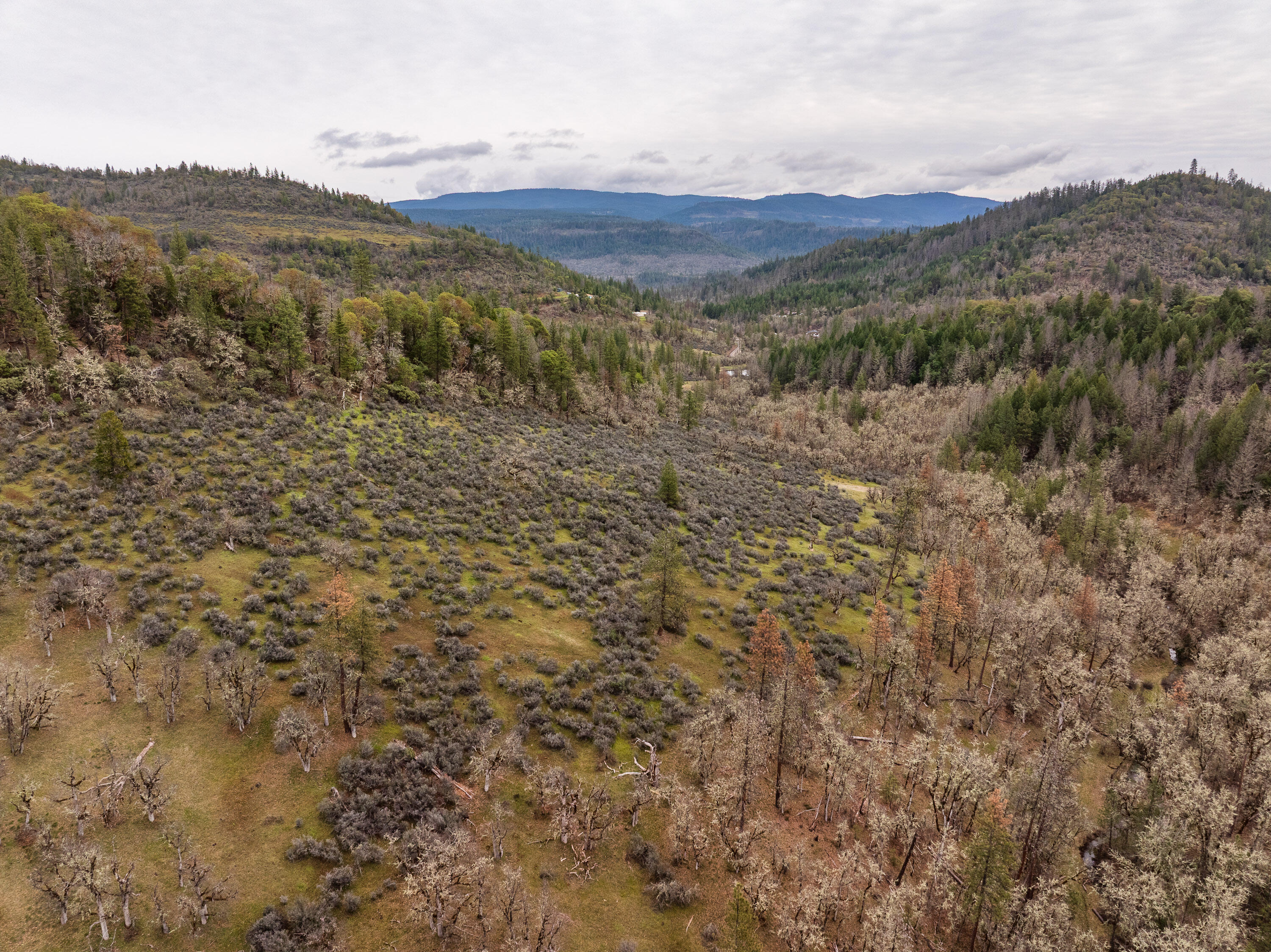 2527 Crowfoot Road Eagle Point, OR 97524 - Photo 13 of 24 2527CrowfootRd-012