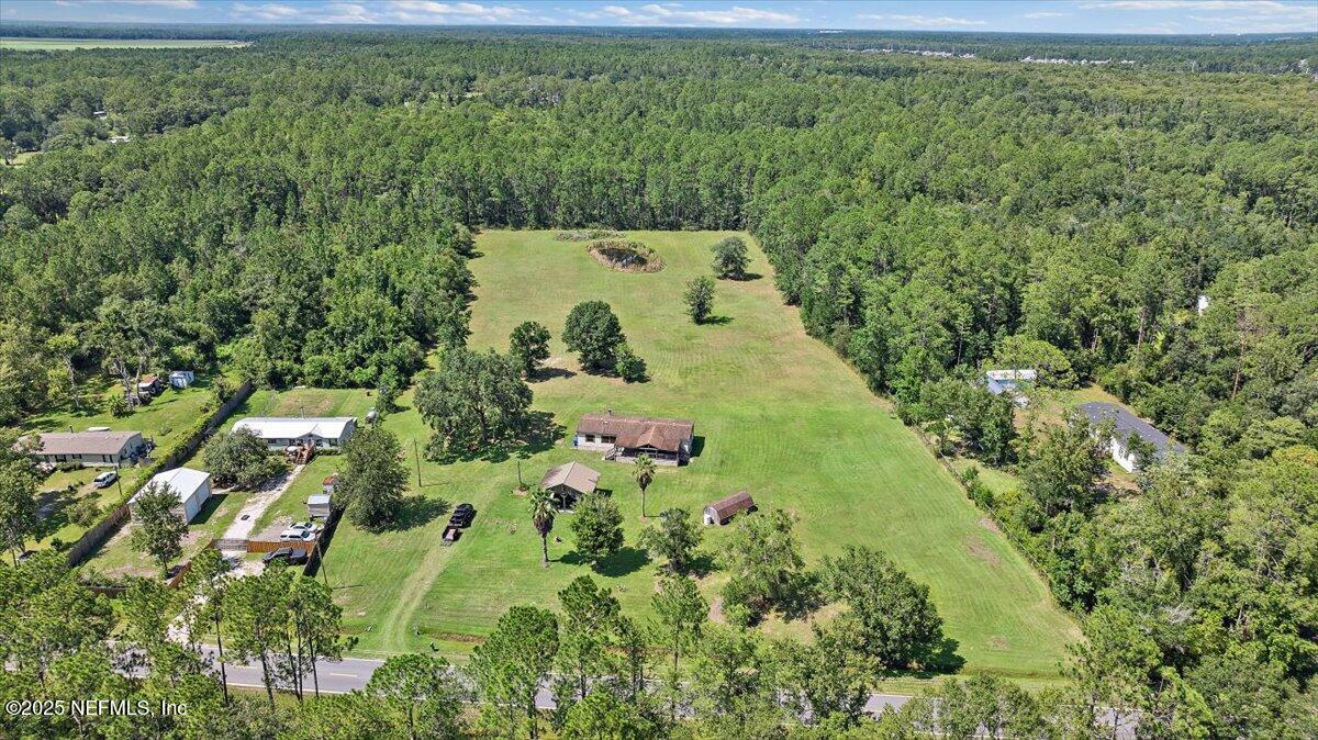 a view of a yard with plants and large trees