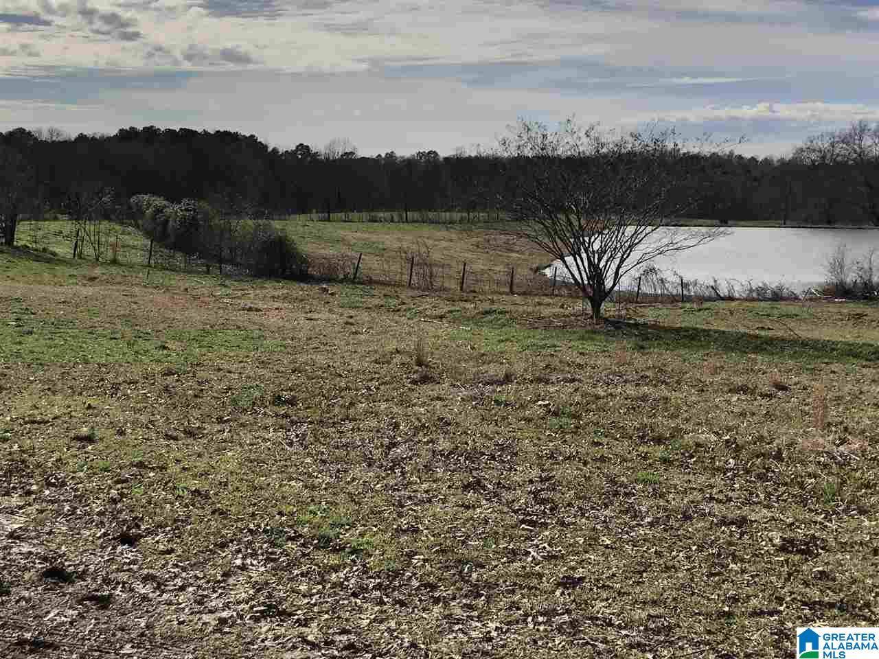 609 Cobb Brazeel Road Trafford, AL 35172 - Photo 32 of 42