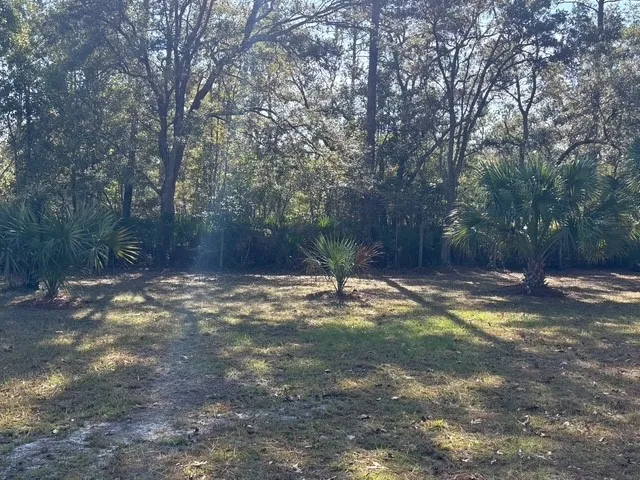 $219,000 | 1284 Jones Way, Darien, GA 31305