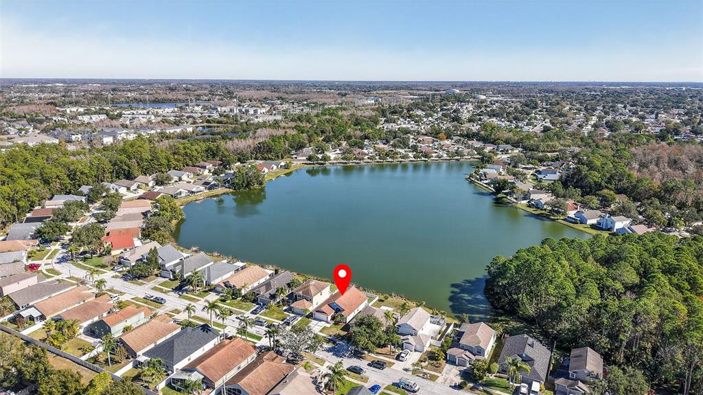 8621 Manassas Road Tampa, FL 33635 - Photo 27 of 35