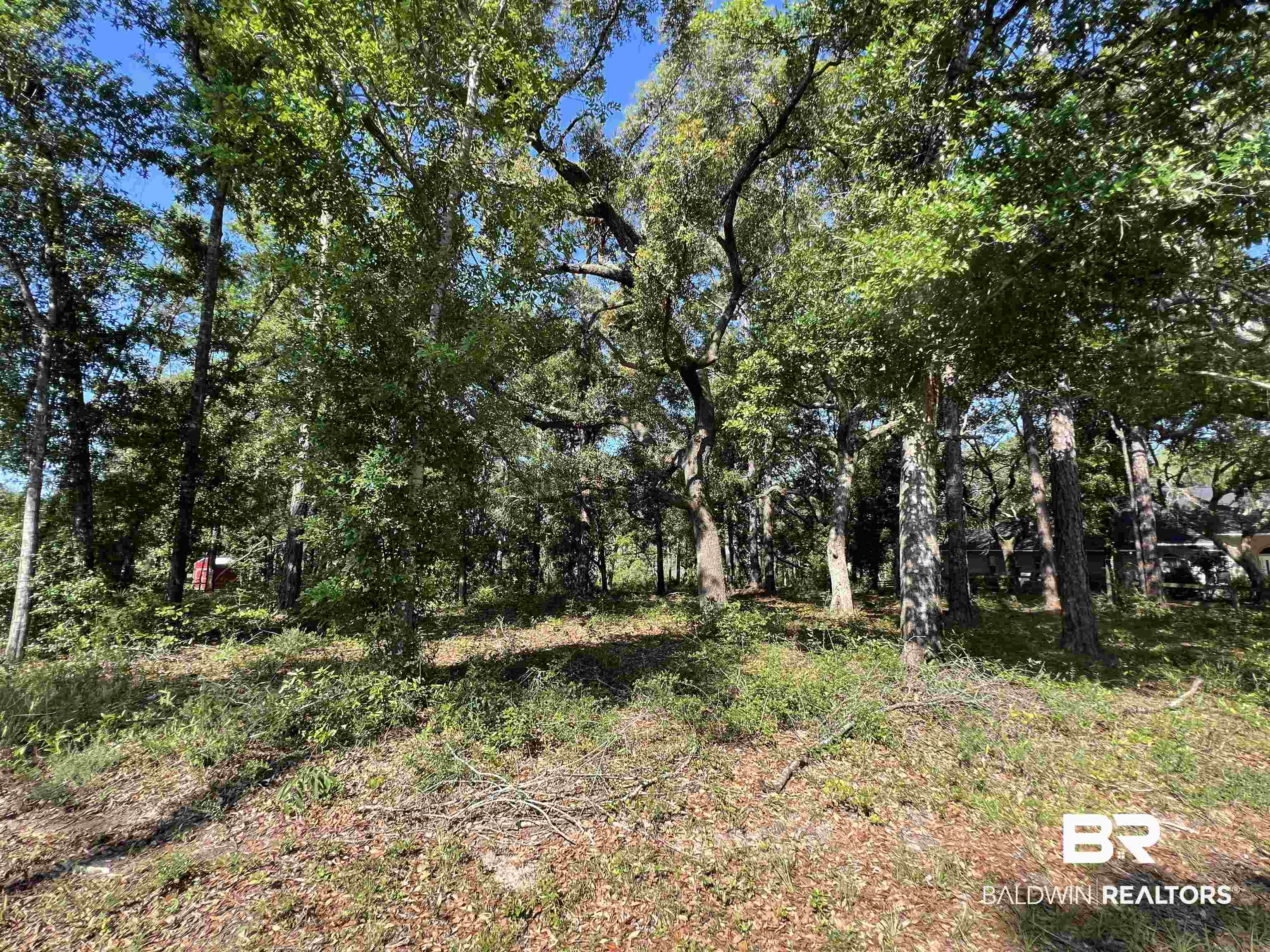 9545 North Bayou Road Lillian, AL 36549 - Photo 1 of 34 View of landscape
