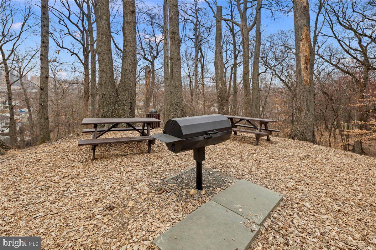 5901 Mt Eagle Drive, Unit 802 Alexandria, VA 22303 - Photo 38 of 52 Picnic Area