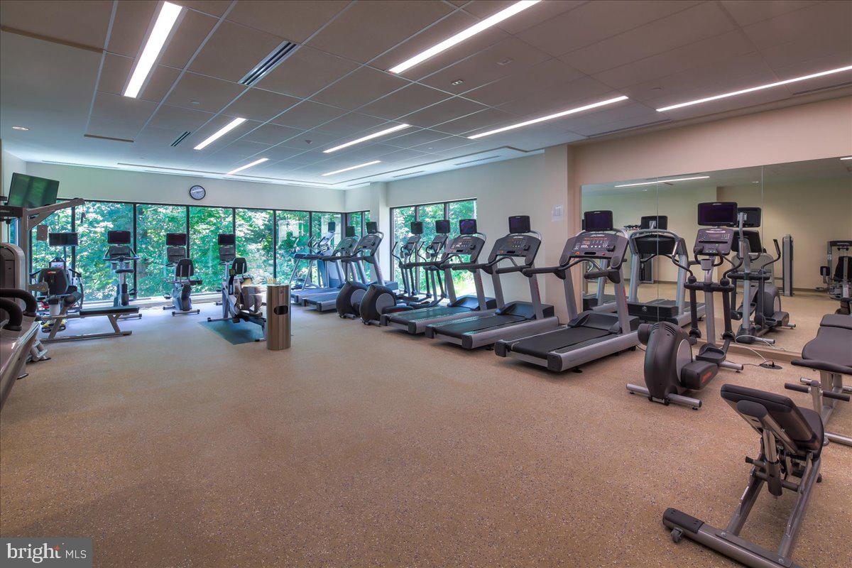 5901 Mt Eagle Drive, Unit 802 Alexandria, VA 22303 - Photo 51 of 52 Fitness Center