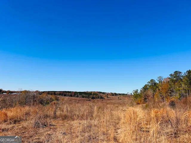 $864,000 | 0 Jaye Road, Rupert, GA 31081