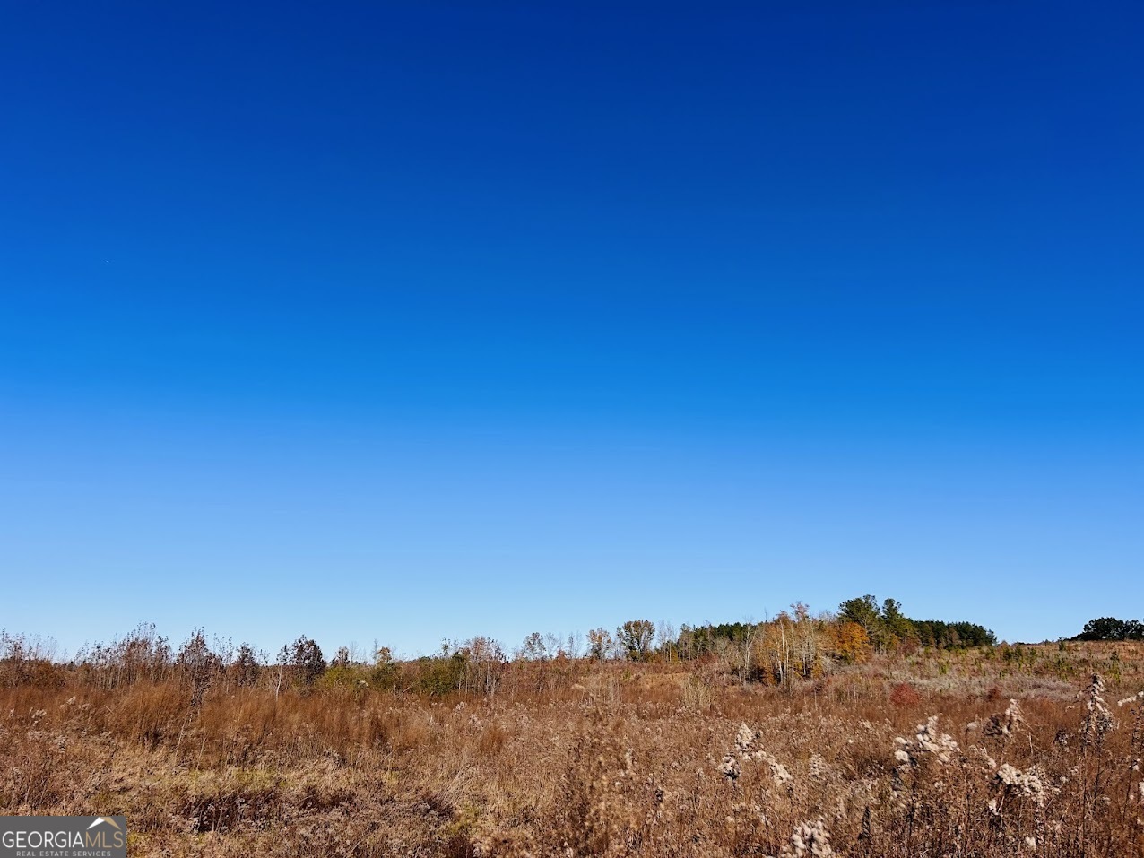 0 Jaye Road Rupert, GA 31081 - Photo 11 of 22