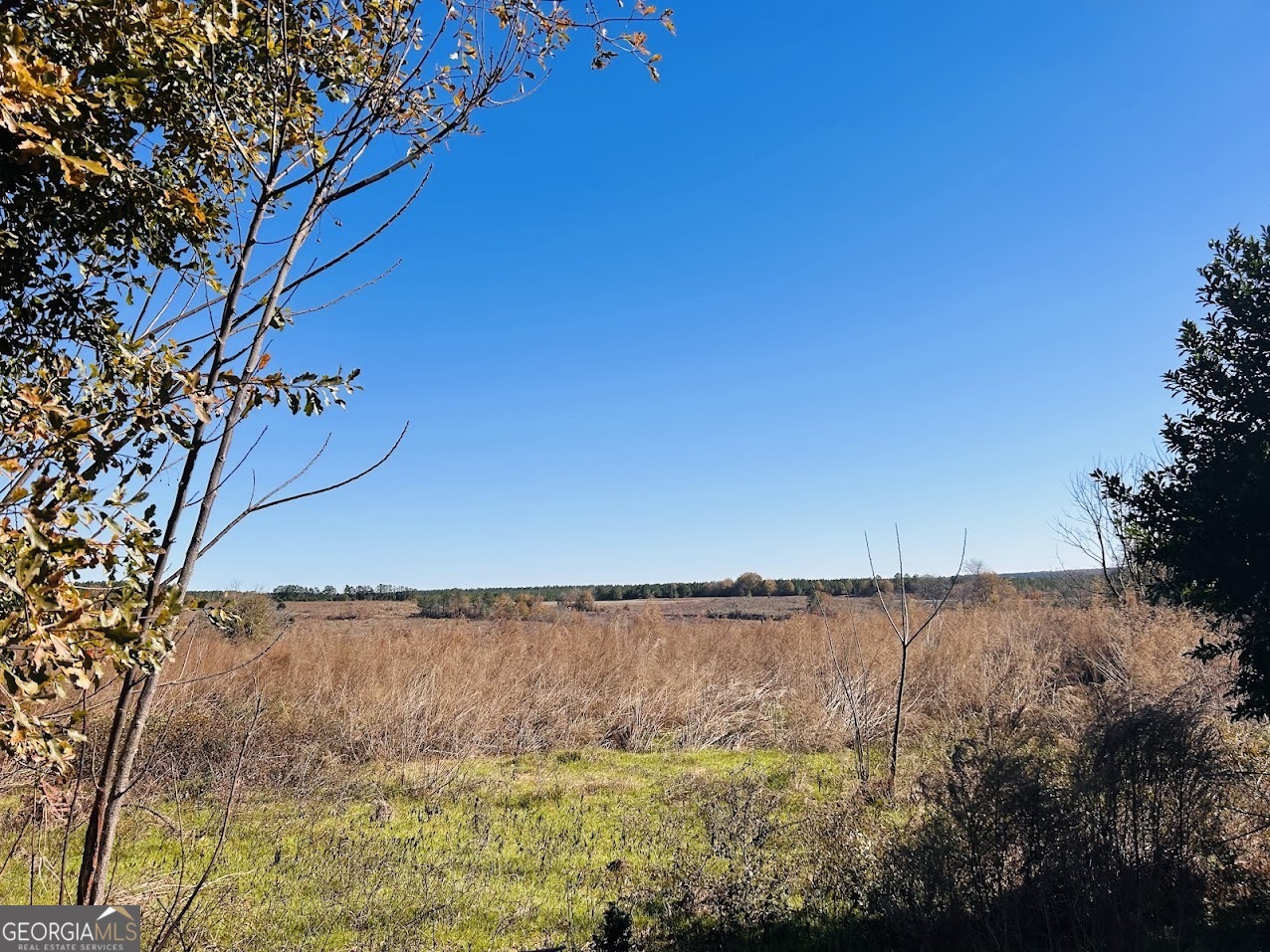 0 Jaye Road Rupert, GA 31081 - Photo 12 of 22