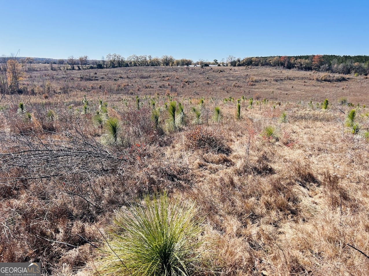 0 Jaye Road Rupert, GA 31081 - Photo 13 of 22