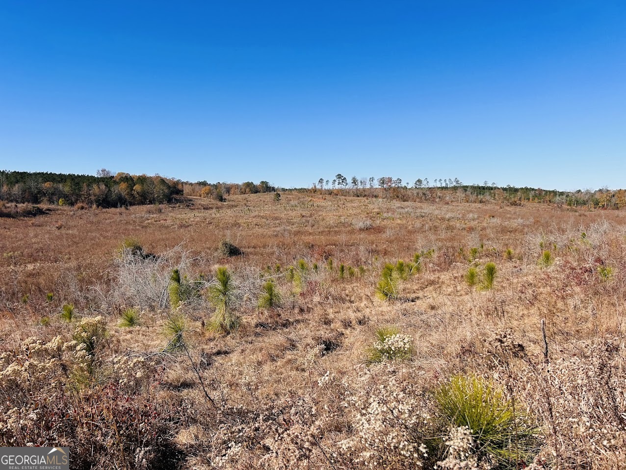 0 Jaye Road Rupert, GA 31081 - Photo 14 of 22