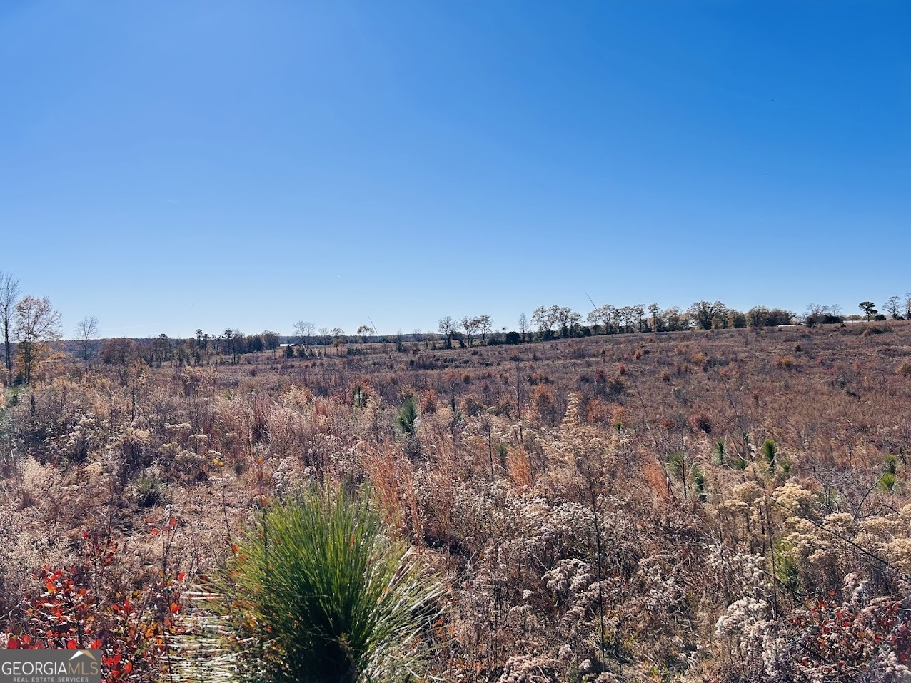 0 Jaye Road Rupert, GA 31081 - Photo 15 of 22