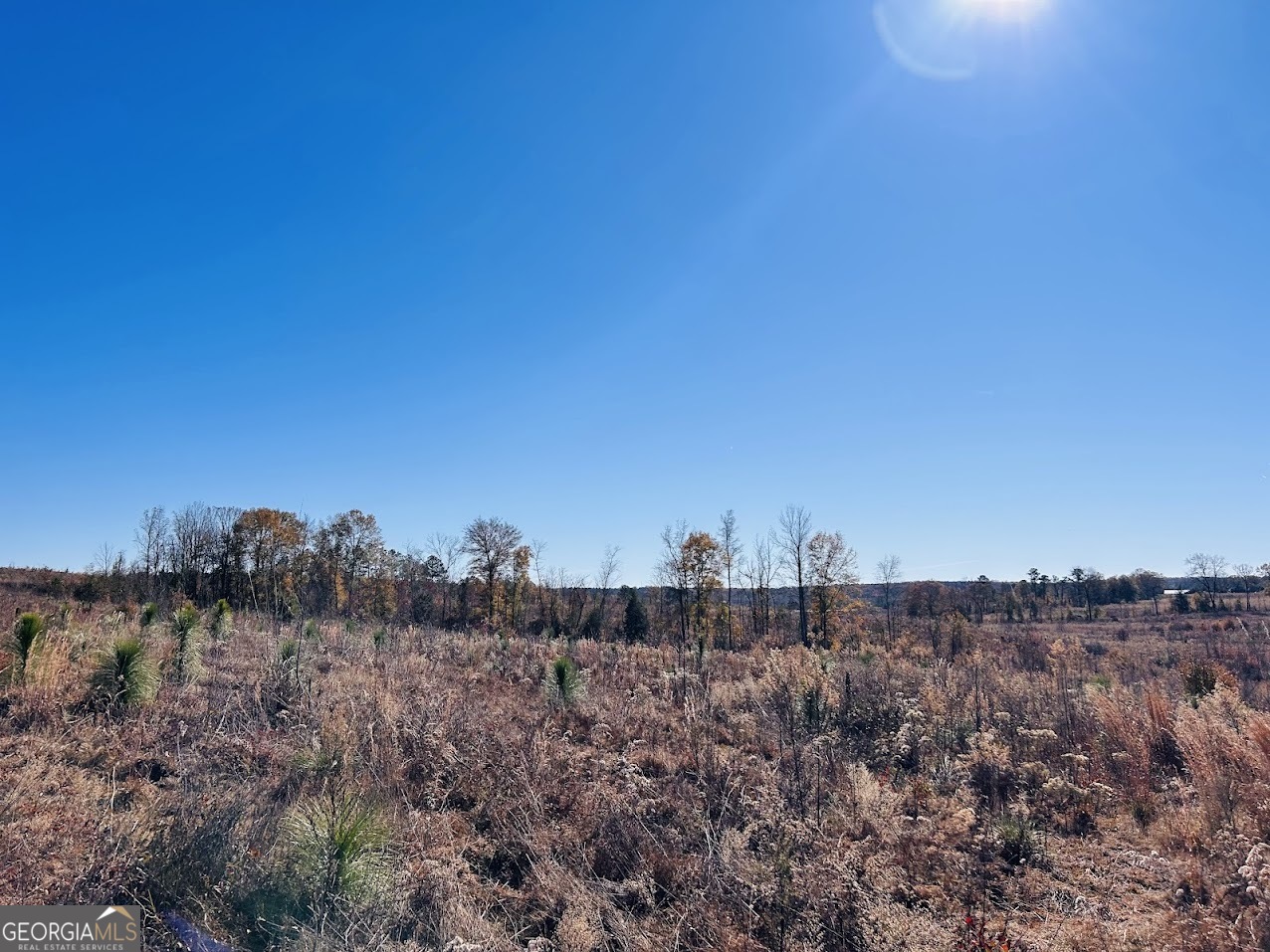 0 Jaye Road Rupert, GA 31081 - Photo 16 of 22