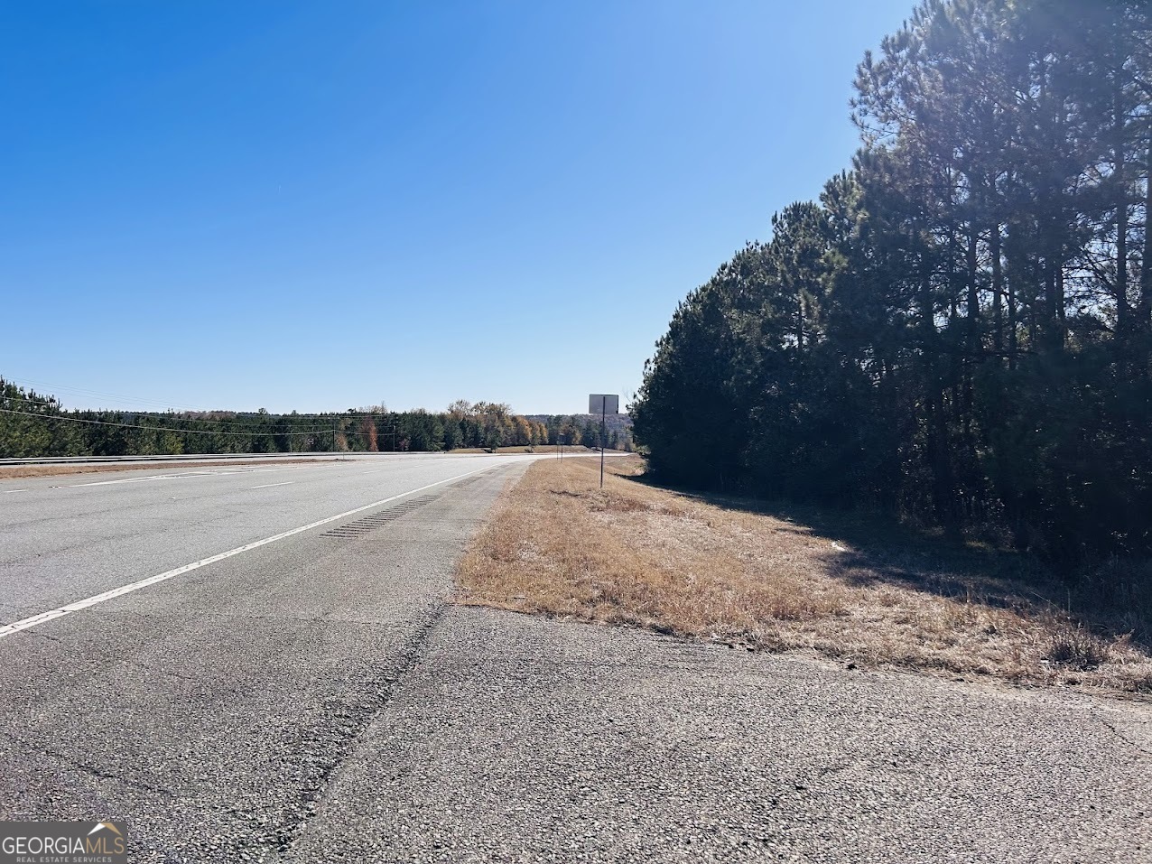 0 Jaye Road Rupert, GA 31081 - Photo 17 of 22