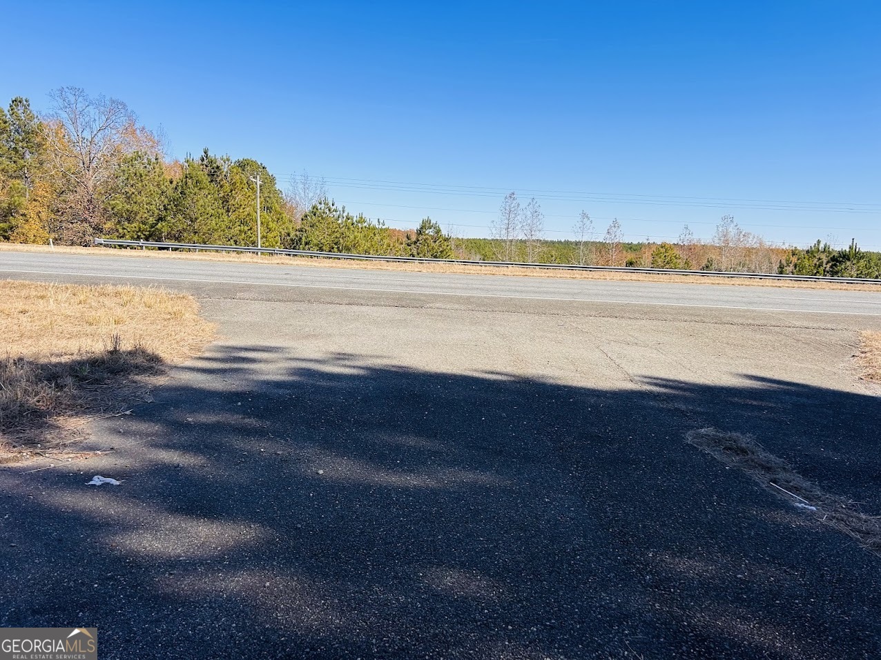 0 Jaye Road Rupert, GA 31081 - Photo 18 of 22