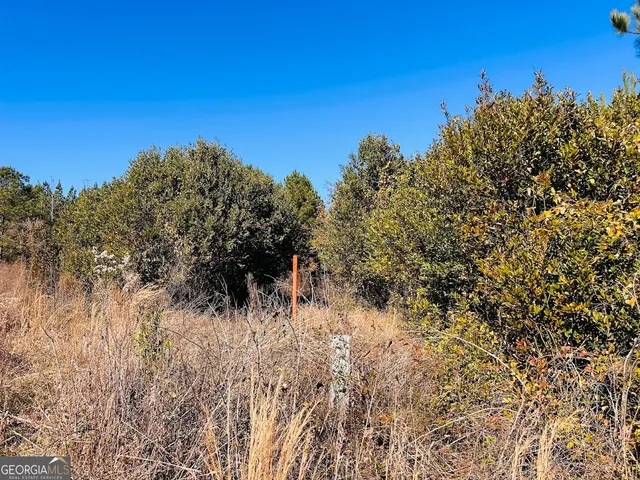 a view of a bunch of trees