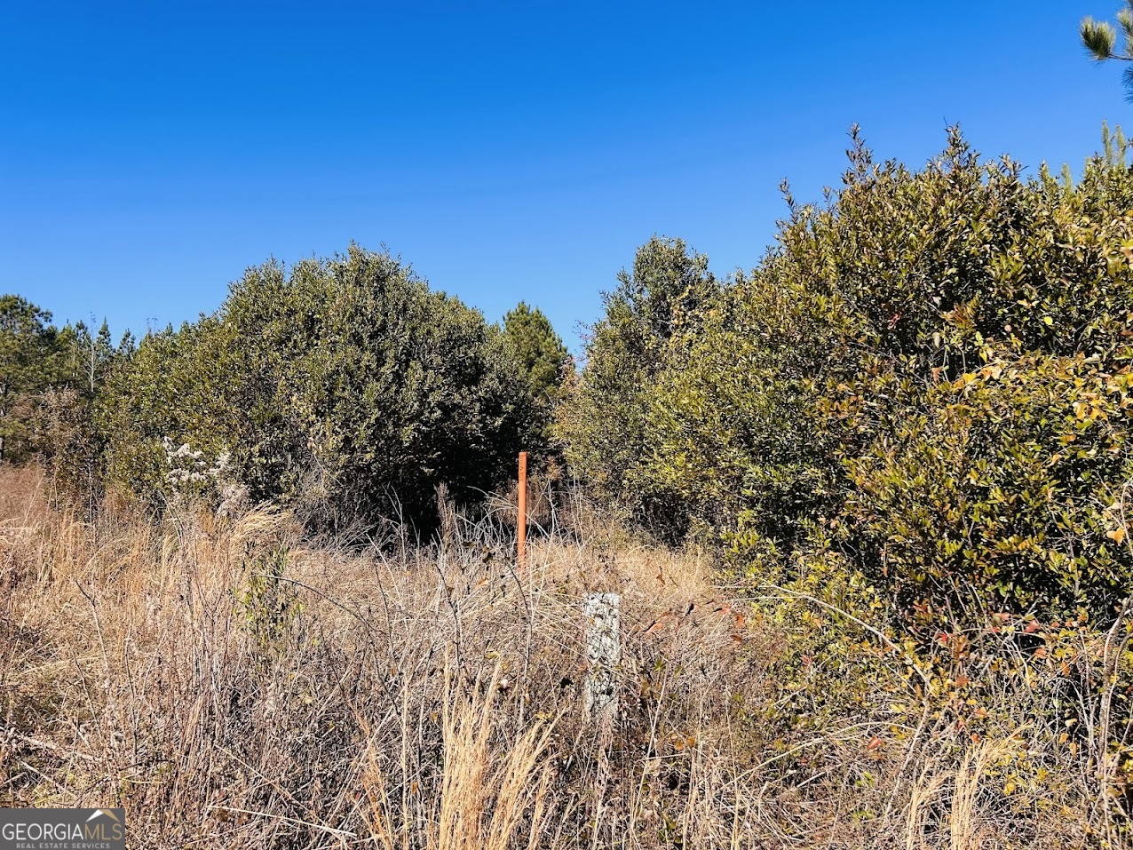 0 Jaye Road Rupert, GA 31081 - Photo 19 of 22