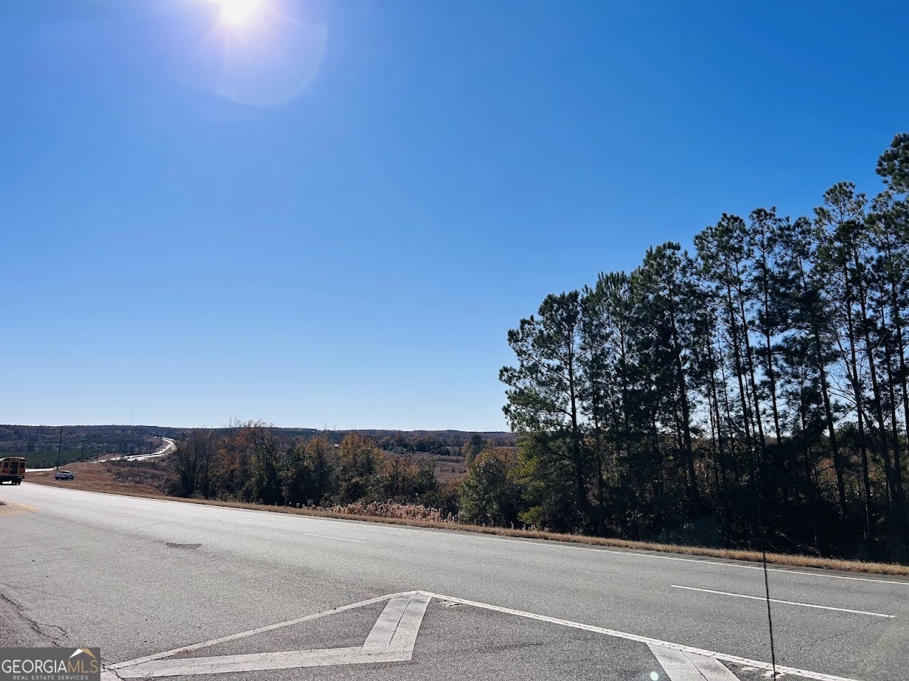 0 Jaye Road Rupert, GA 31081 - Photo 20 of 22