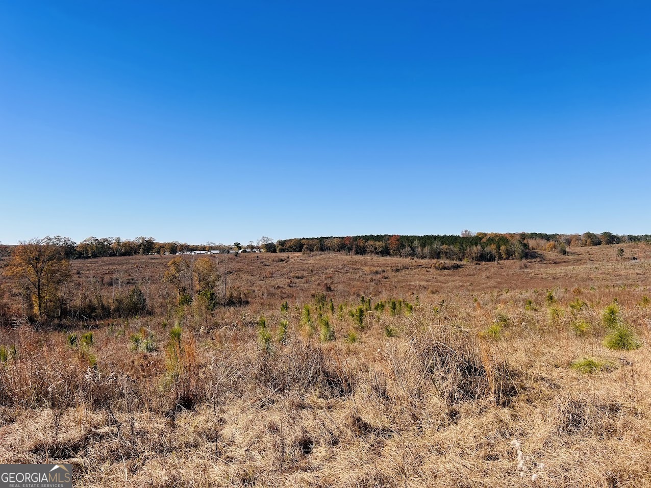 0 Jaye Road Rupert, GA 31081 - Photo 2 of 22