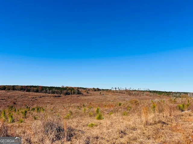 a view of beach and ocean