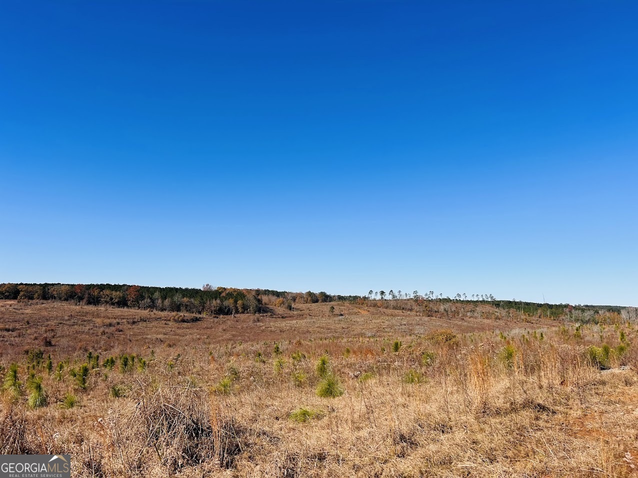 0 Jaye Road Rupert, GA 31081 - Photo 3 of 22