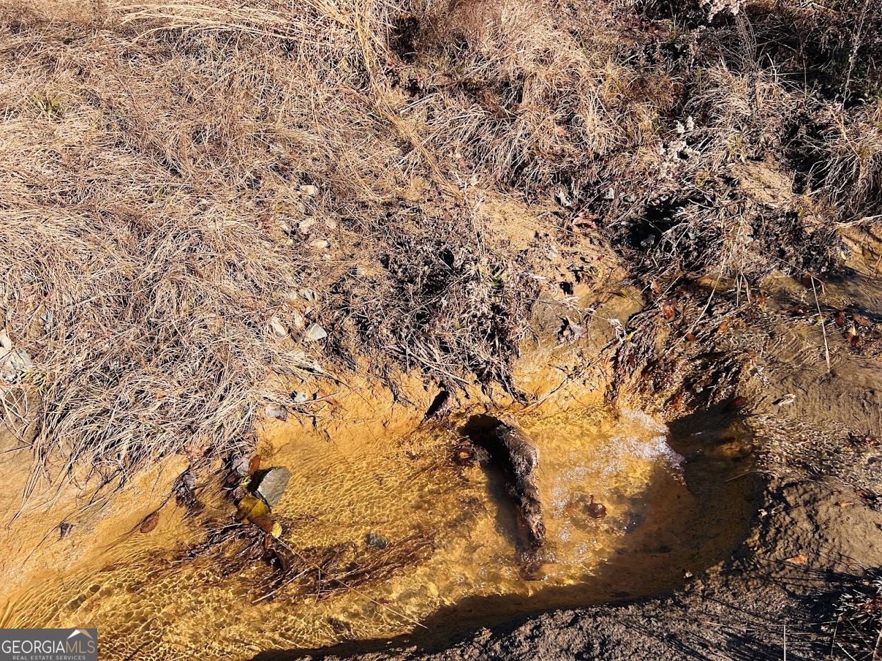 0 Jaye Road Rupert, GA 31081 - Photo 5 of 22