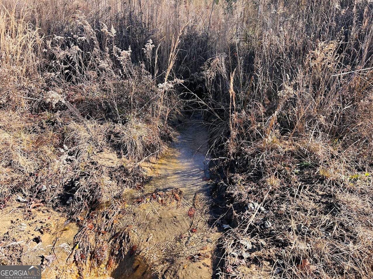 0 Jaye Road Rupert, GA 31081 - Photo 6 of 22