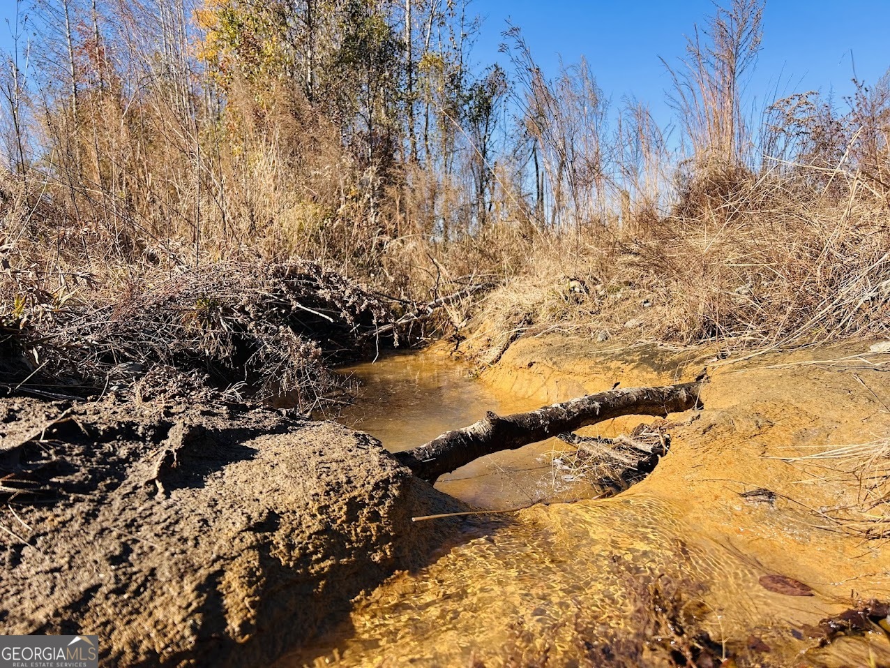 0 Jaye Road Rupert, GA 31081 - Photo 7 of 22
