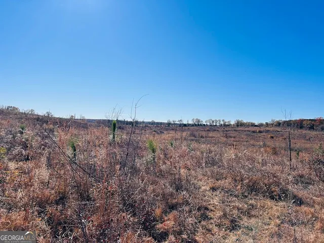 a view of a dry yard with trees