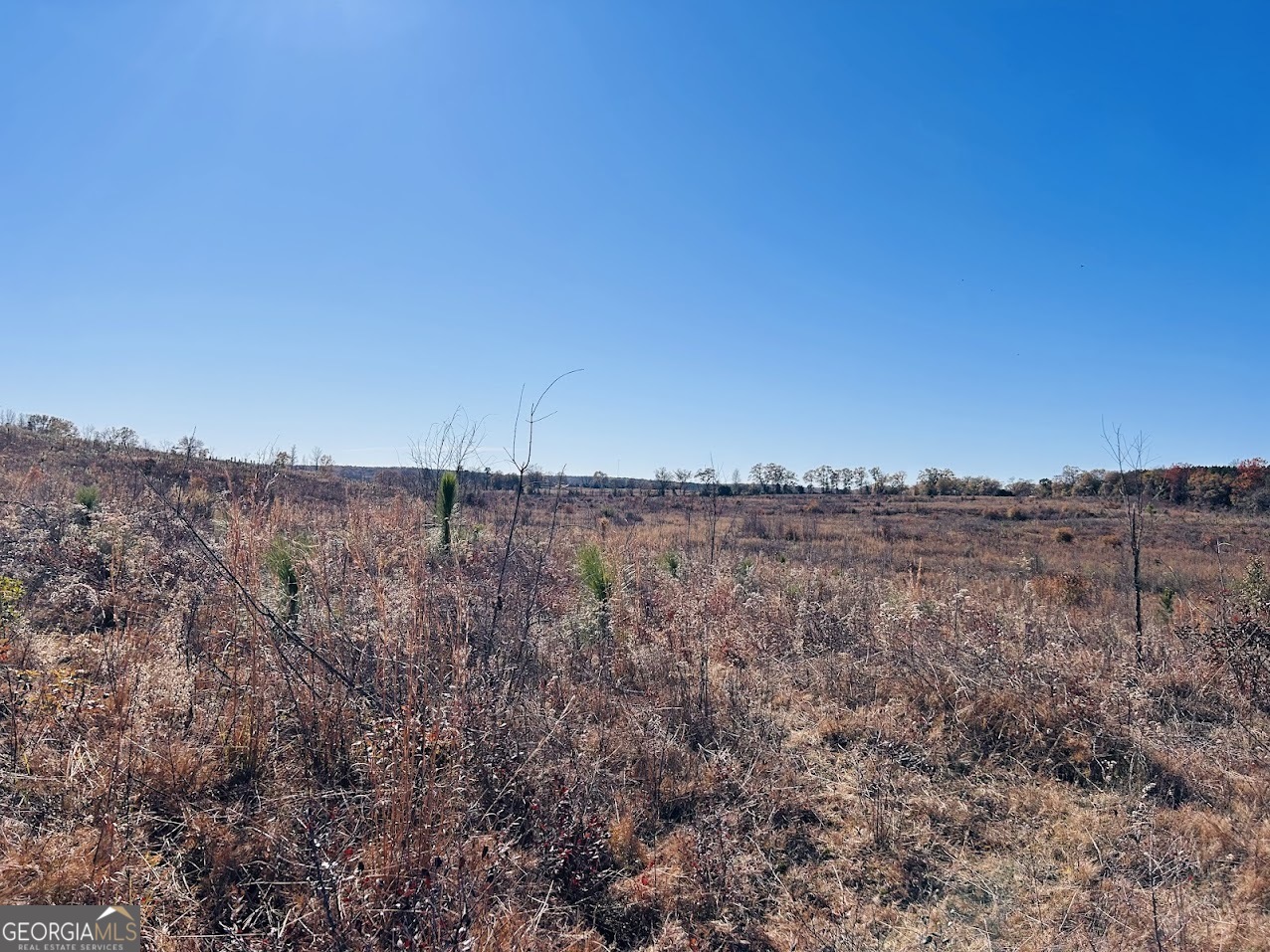 0 Jaye Road Rupert, GA 31081 - Photo 8 of 22