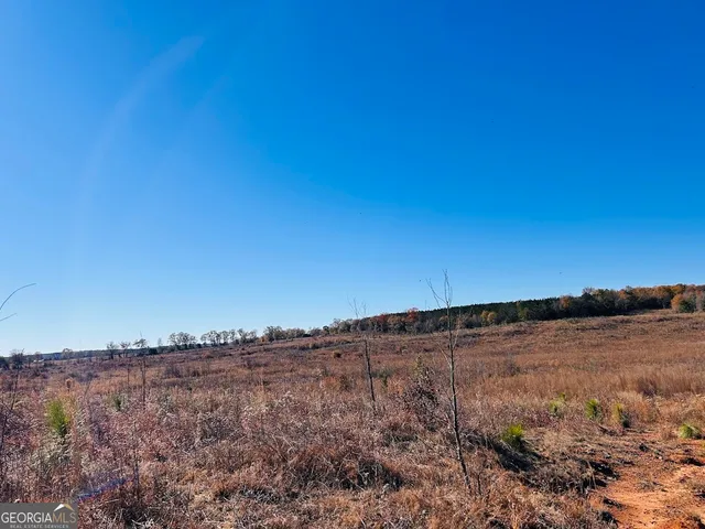 a view of a dry yard with wooden fence