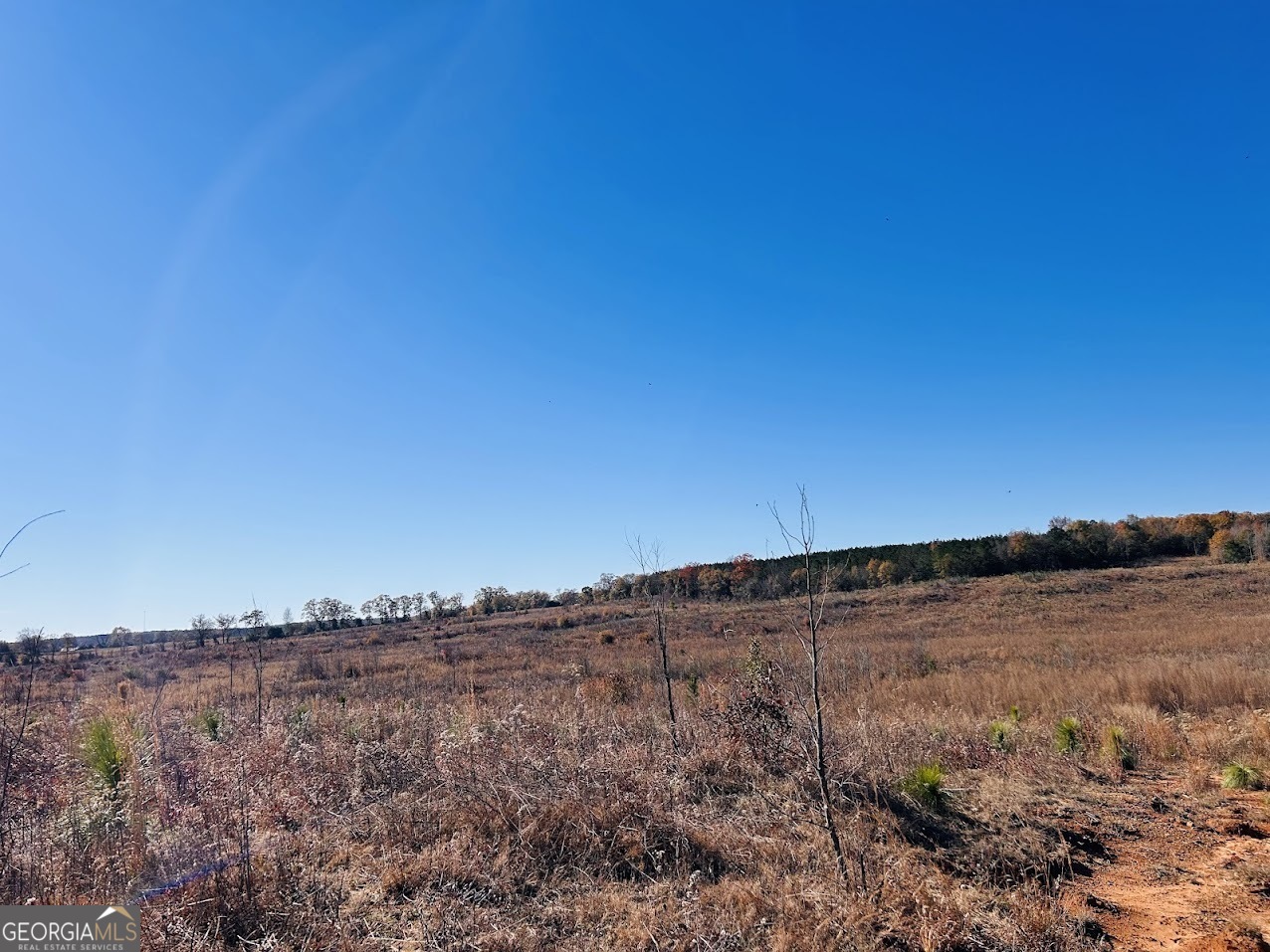 0 Jaye Road Rupert, GA 31081 - Photo 9 of 22