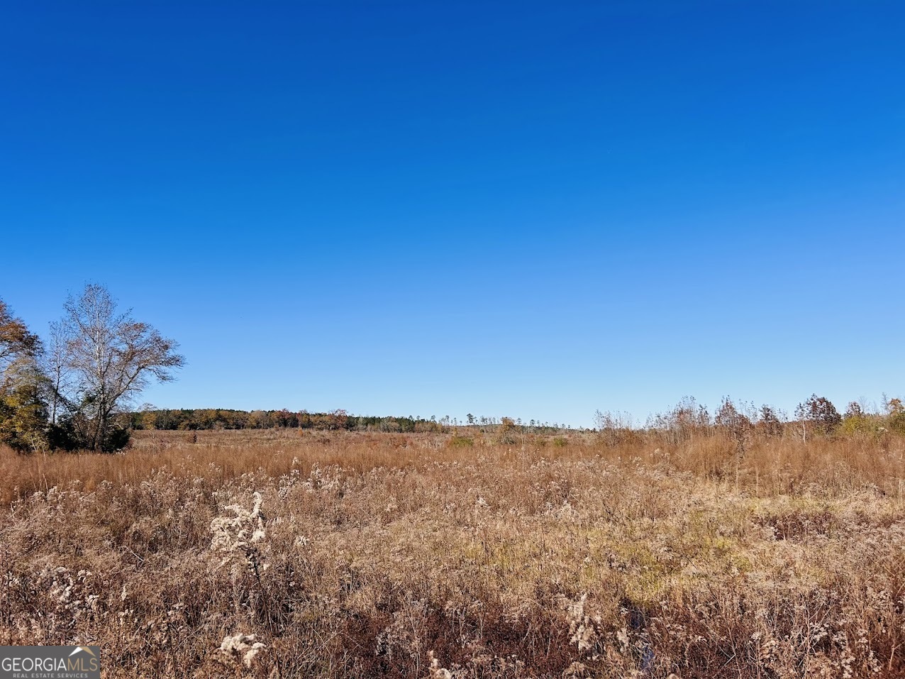 0 Jaye Road Rupert, GA 31081 - Photo 10 of 22